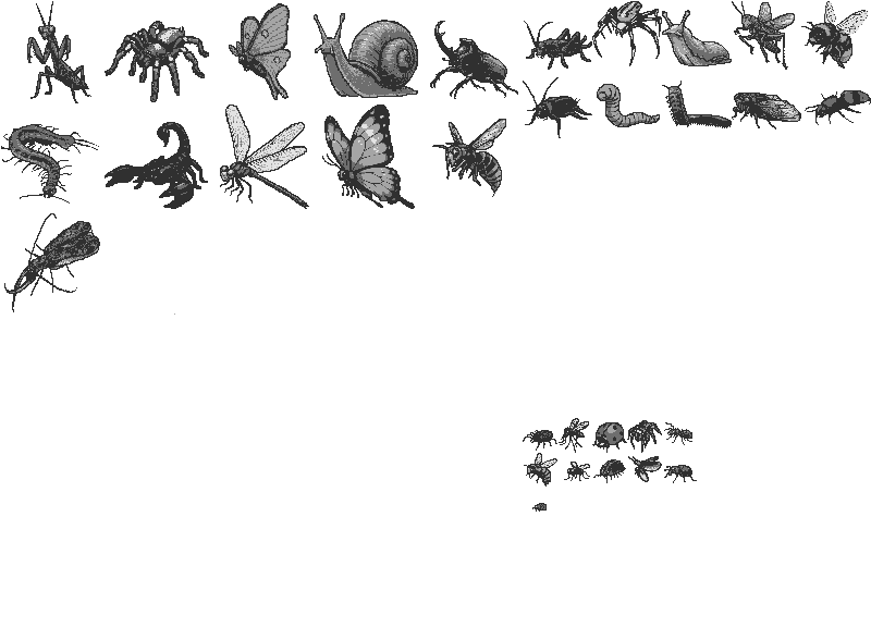 32 BUGS!