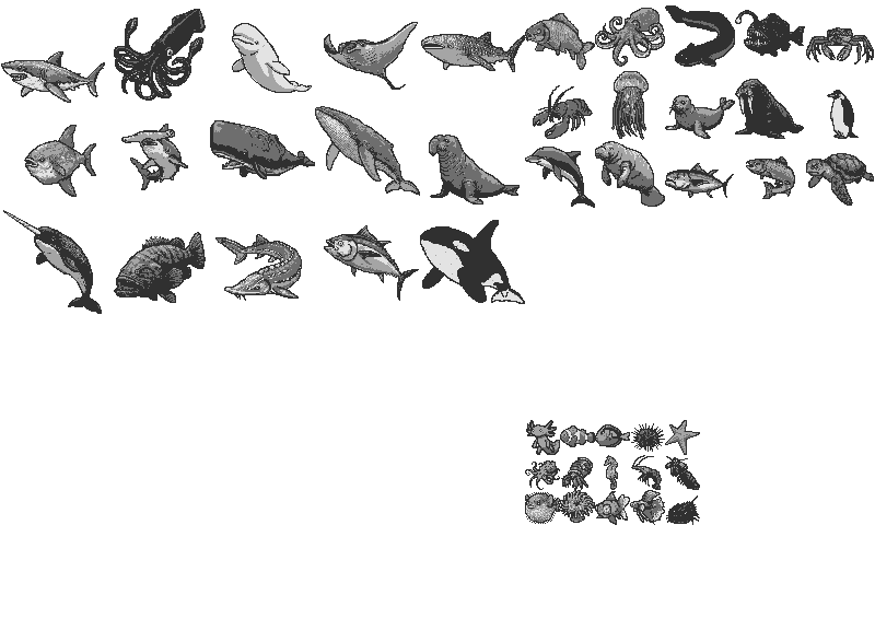45 FISH!