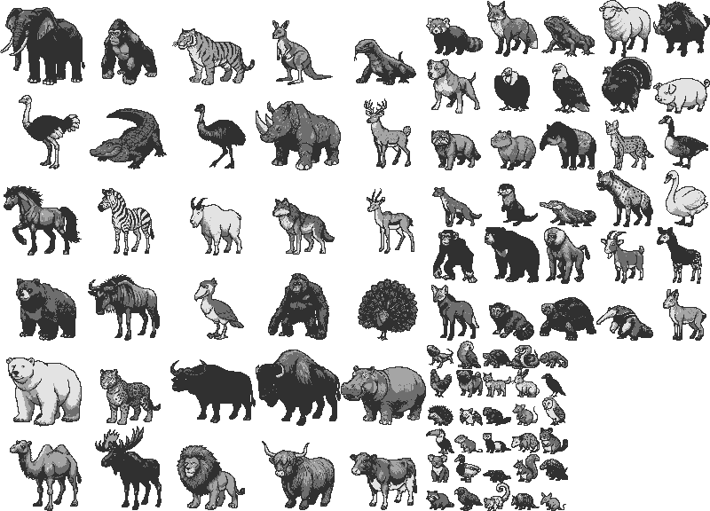 8̶0 90 ANIMALS!