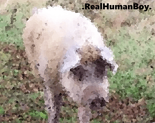 RealHumanBoy