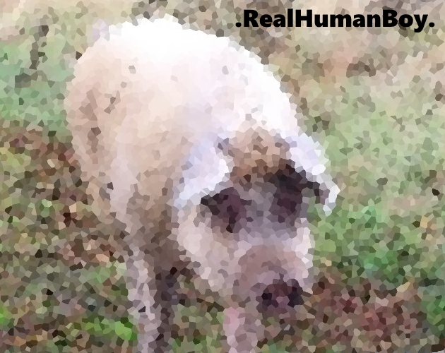Cover image for RealHumanBoy