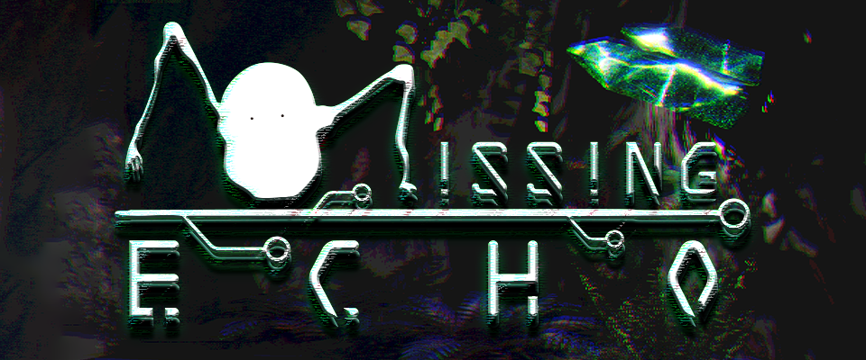 Missing Echo