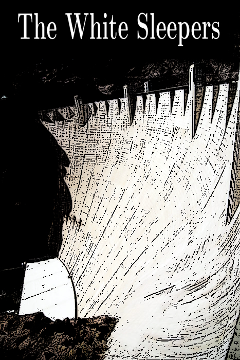 Cover image for The White Sleepers