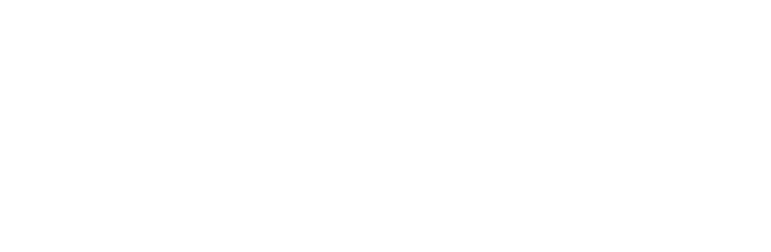 Lysa y el Bosque Fragmentado