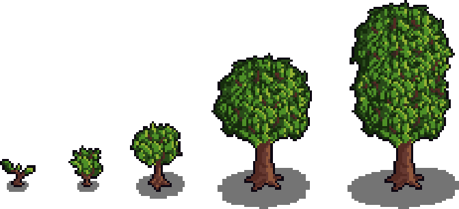 watch a tree grow.