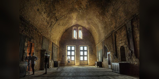 Cover image for Through the Dark