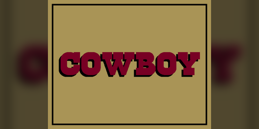 Cover image for Cowboy
