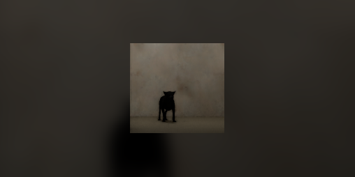 Cover image for Have You Seen This Dog?