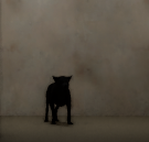 Have You Seen This Dog? cover