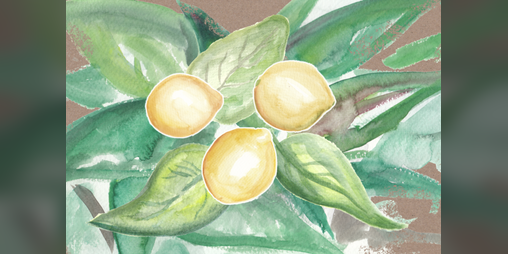 Cover image for Limoncico