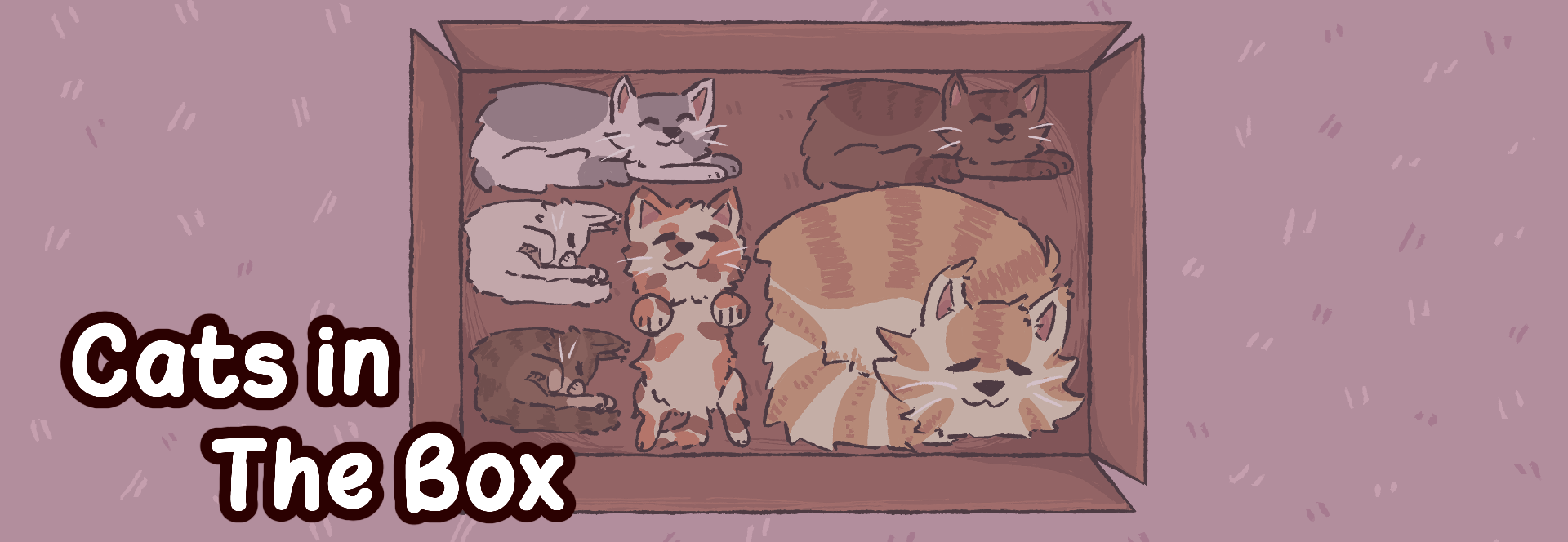 Cats In The Box