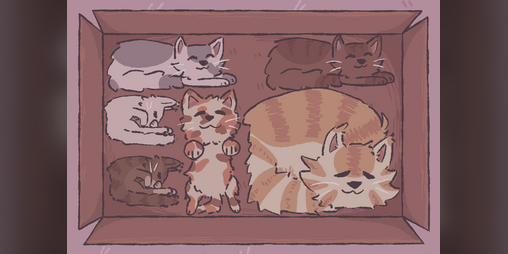 Cover image for Cats In The Box