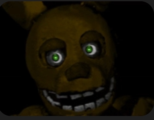Cover image for The feture fnaf 2