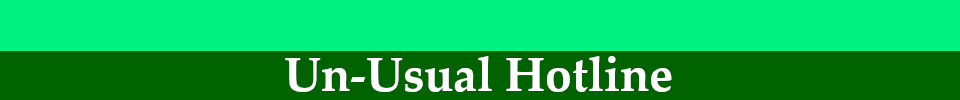Un_Usual Hotline (DEMO)