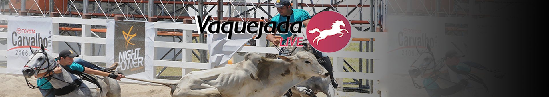 Vaquejada Live