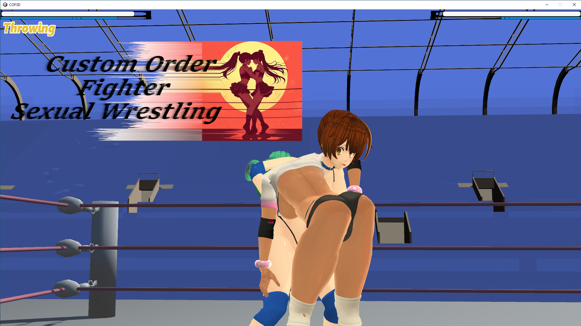 Custom Order Fighter - Sexual Wrestling