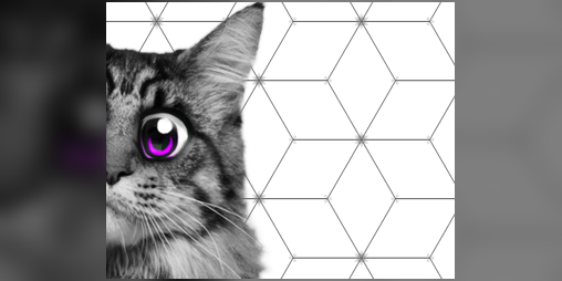 Cover image for Super Web Kittens: The Windows Demo