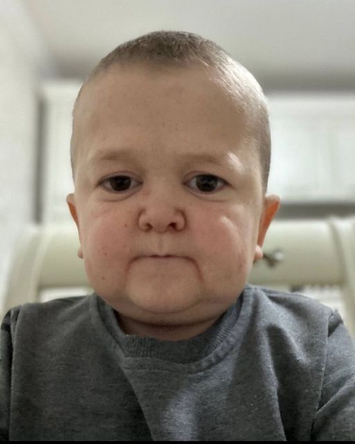 Project Jake