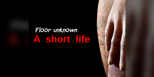 Cover image for Floor unknown: a short life