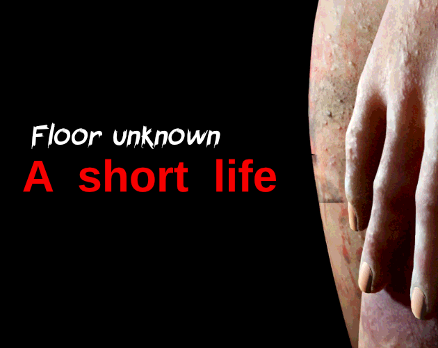 Floor unknown: a short life