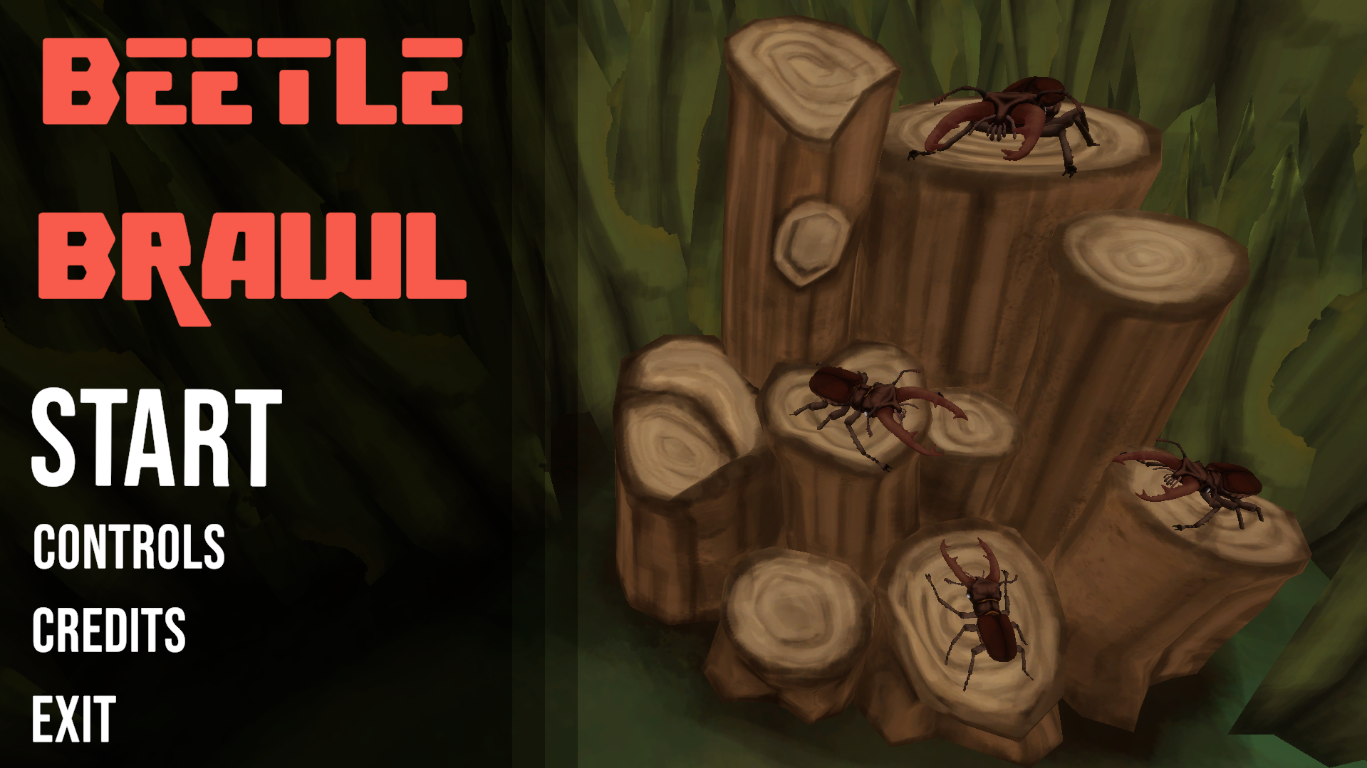 Beetle Brawl