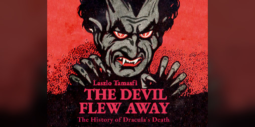 Cover image for The Devil Flew Away