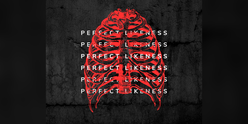 Cover image for Perfect Likeness