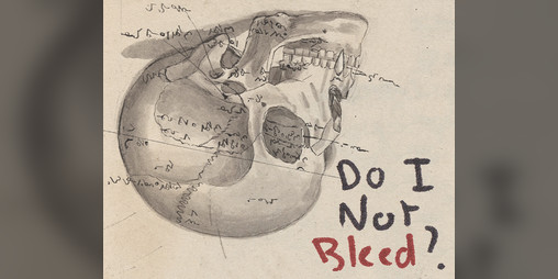 Cover image for Do I Not Bleed?