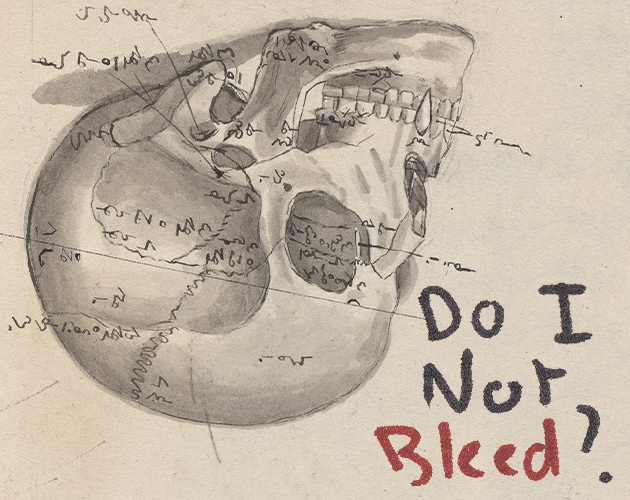 Cover image for Do I Not Bleed?