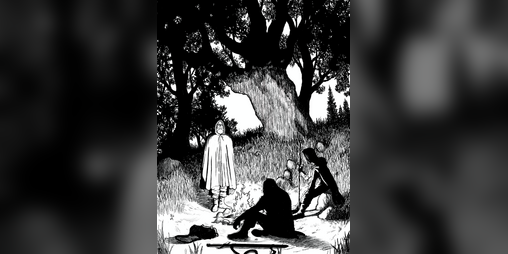 Cover image for Shadows of the Wild