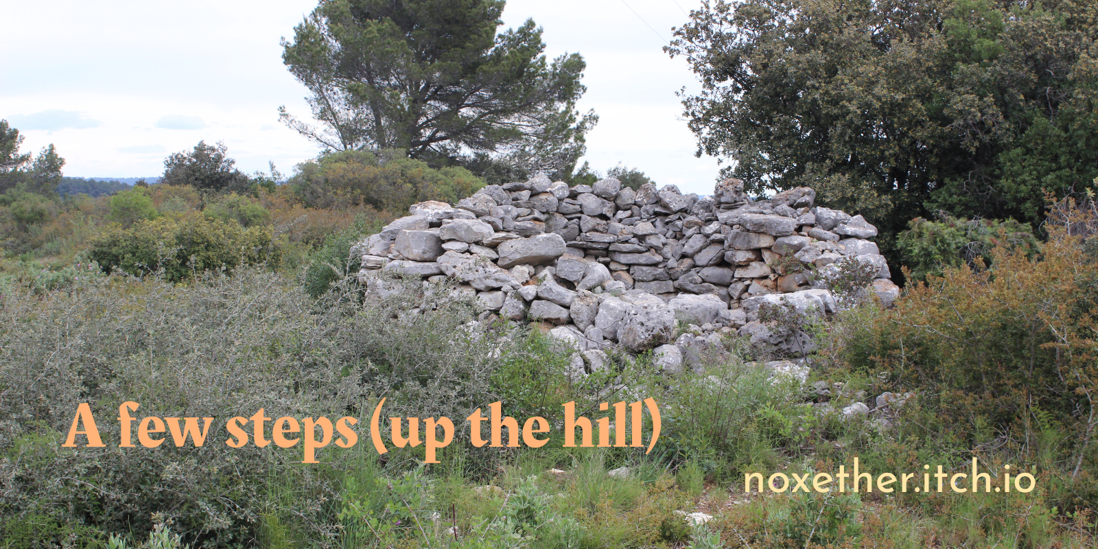 Cover image for A few steps (up the hill)