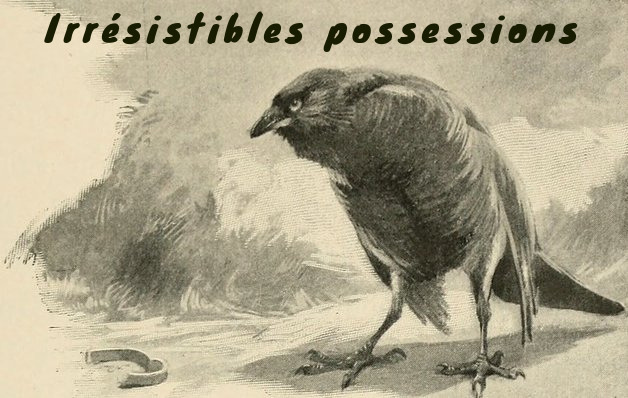 Cover image for Irrésistibles possessions