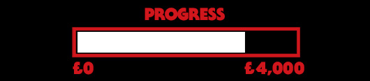 Progress Bar - £3,000 out of £4,000