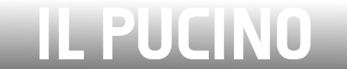 Il Pulcino