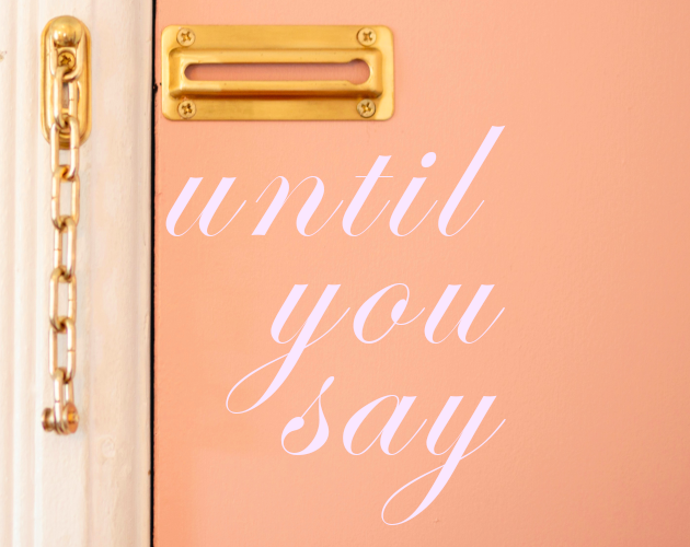Cover image for Until You Say