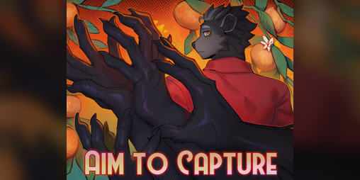 Cover image for Aim to Capture