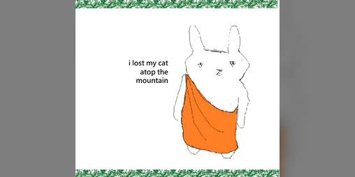 Cover image for i lost my cat atop the mountain