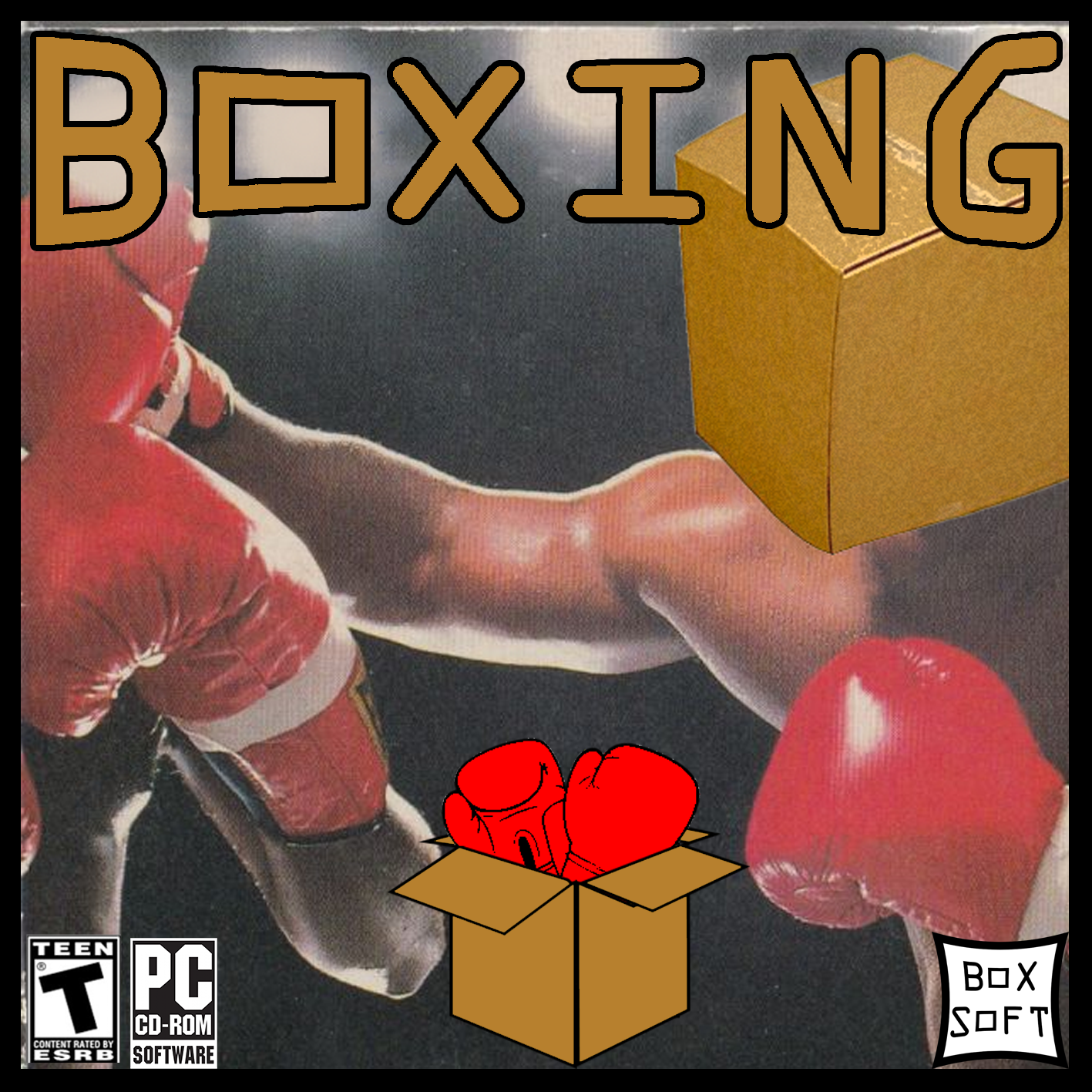 Cover image for BOXING