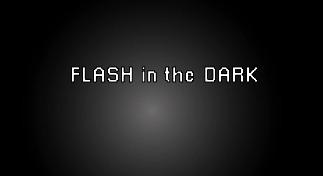 Cover image for Flash in the Dark