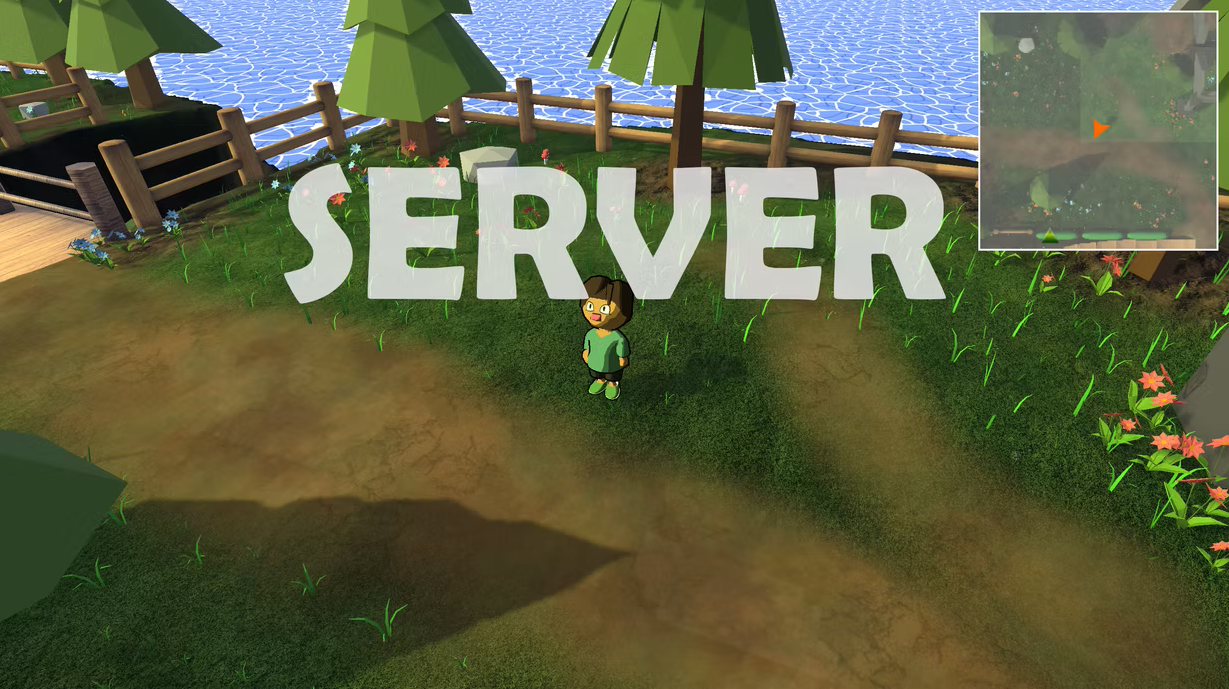 Server