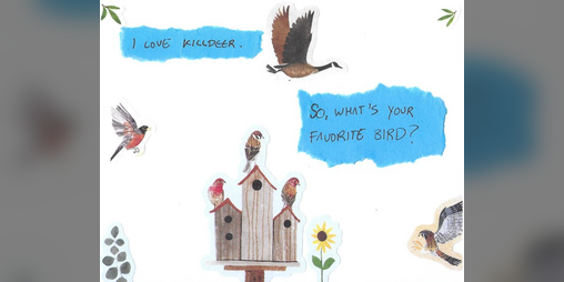 Cover image for So, What's Your Favorite Bird? Zine