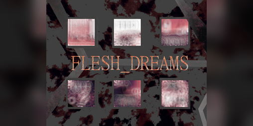 Cover image for FLESH_DREAMS