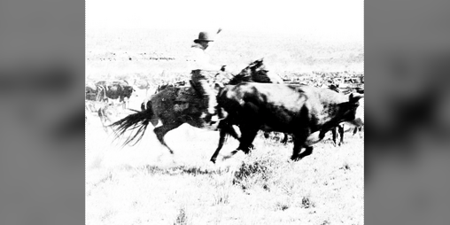 Cover image for Head of the Ranch