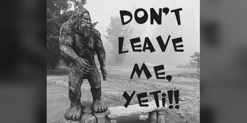 Cover image for Don't Leave Me, Yeti!!
