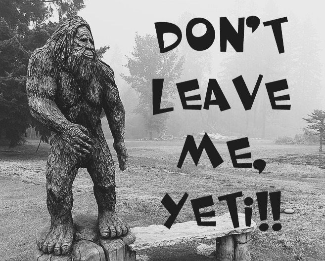 Cover image for Don't Leave Me, Yeti!!