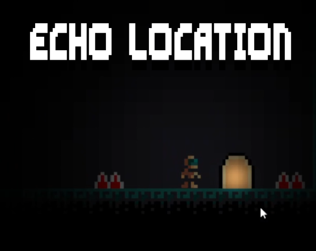 Cover image for Echo Location