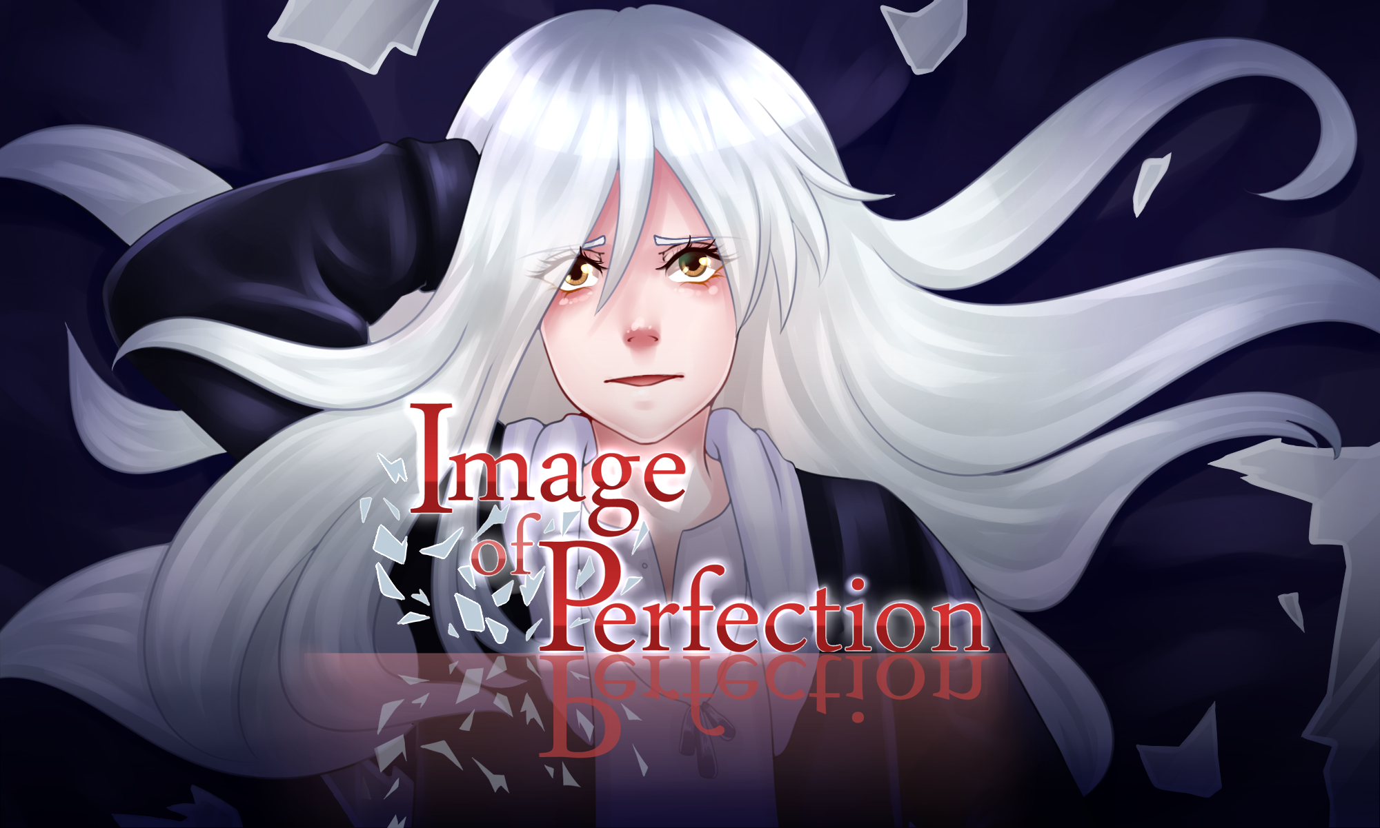 Cover image for Image of Perfection