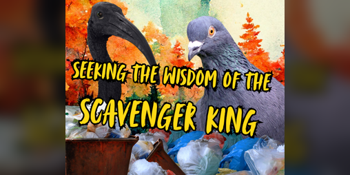 Cover image for Seeking The Wisdom of the Scavenger King