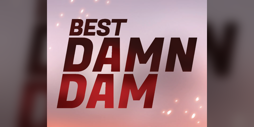 Cover image for Best Damn Dam