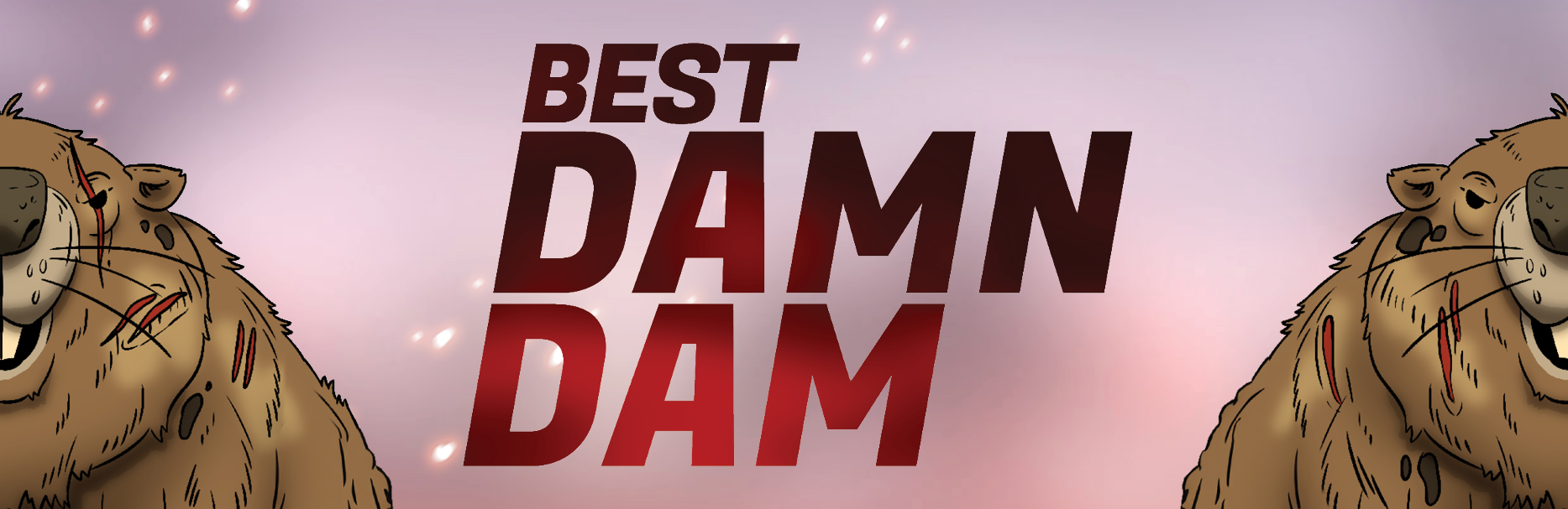 Best Damn Dam